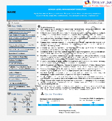 Info-graphic Resume Samples